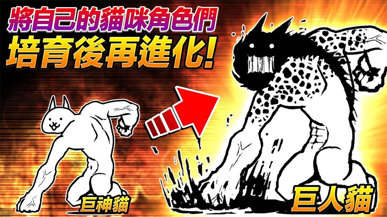 猫咪大战争10.6.0最新全角色无限罐头版免费金币中文版