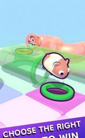 管道仓鼠游戏中文版（Tube Hamster）