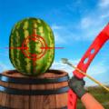 西瓜射手射击3D游戏安卓中文版（Watermelon Archer Shooting 3D）