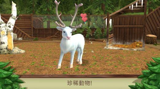 Pet World游戏中文最新版