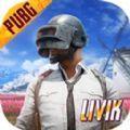 pubg下载(国际服)官方正式版