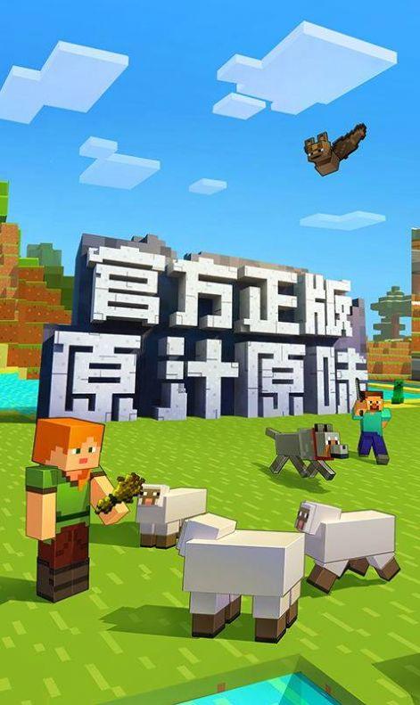 我的世界Minecraft国际版1.16.200.51基岩版