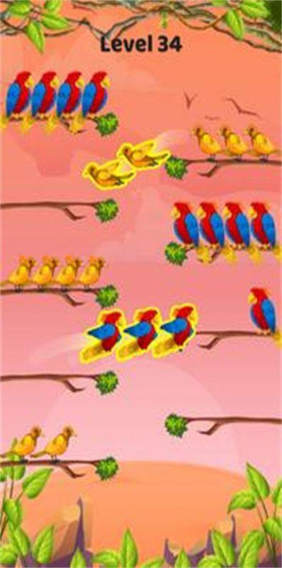 鸟类颜色排序游戏官方版