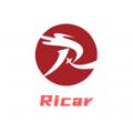 Ricar绝壁悬崖游戏中文版