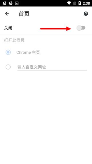 chrome浏览器设置主页方法图12