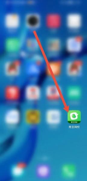 青豆网校app图片6