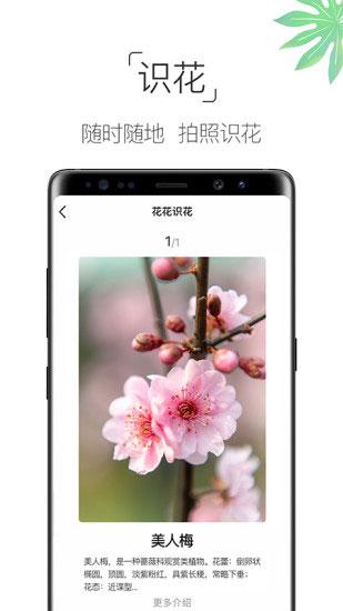 养花大全 安卓版v4.3.4