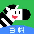 斑马百科 安卓版v1.29.0