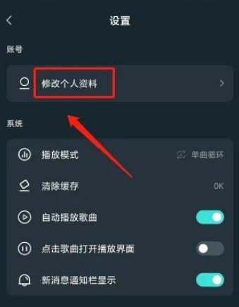 DJ串烧集app图片8