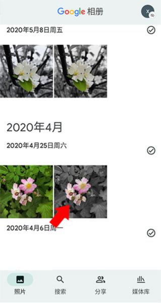 Google相册APP图片11