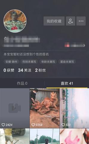 抖音极速版图片13