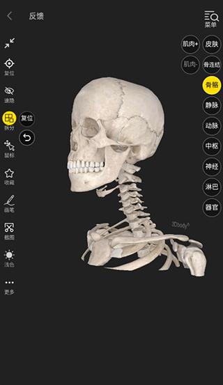 3DBody人体解剖学app图片7