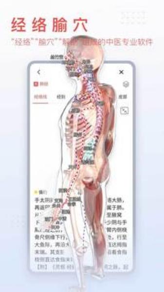 3Dbody解剖2