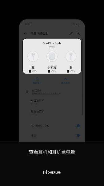 OnePlus Buds图片1