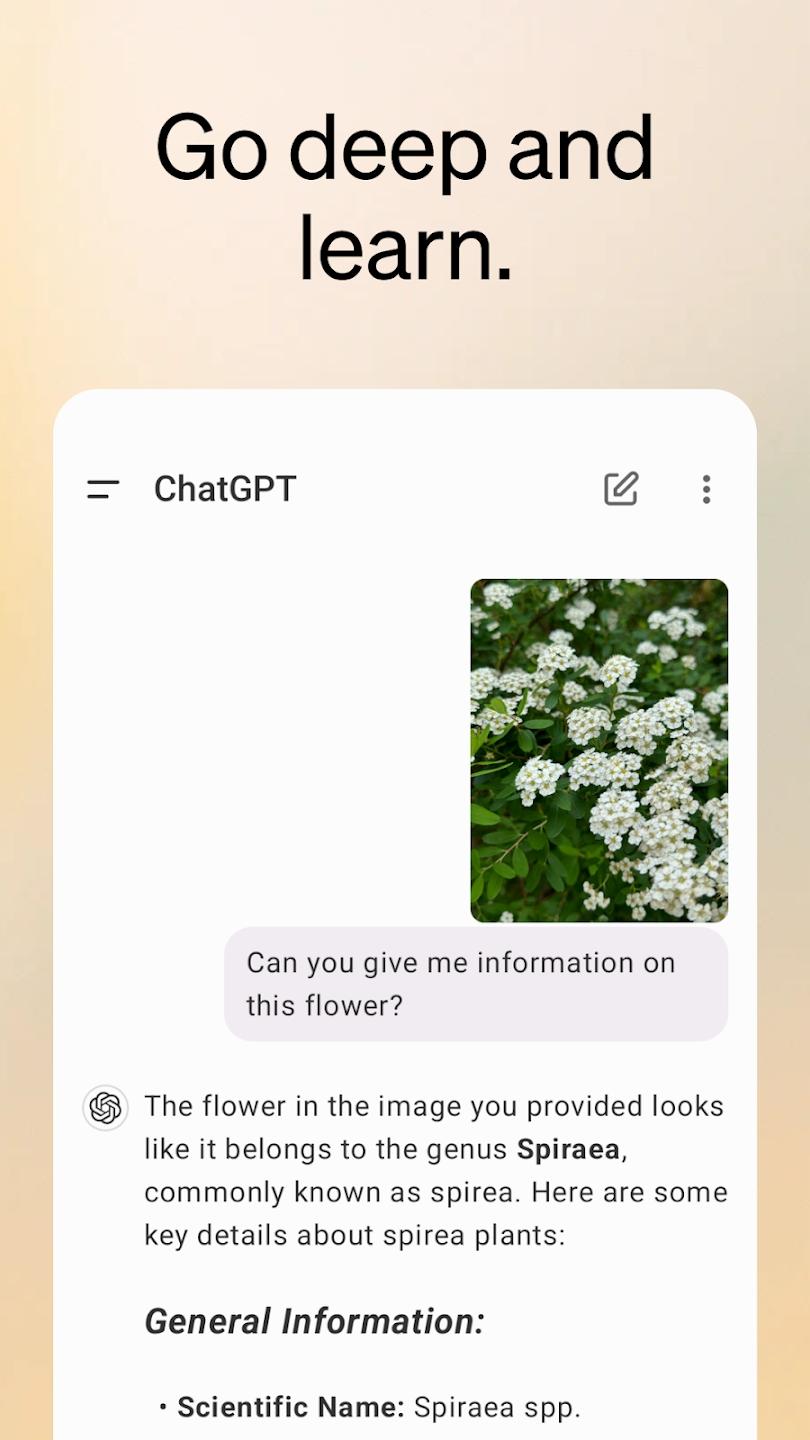 chatgpt手机版