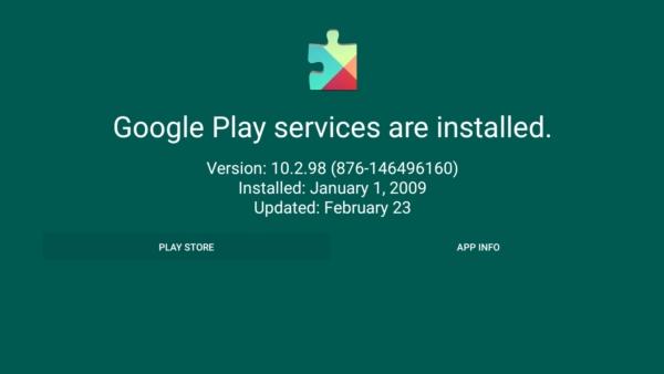 Play Services Info图片1