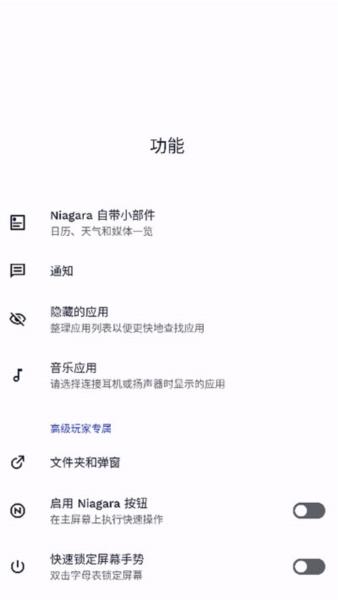 Niagara Launcher图片16