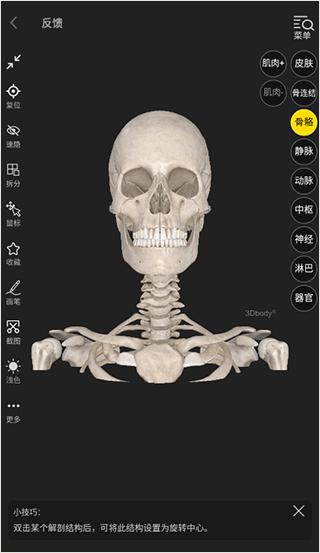 3DBody人体解剖学app图片6