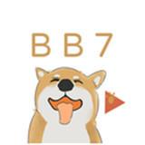 BB7视频下载