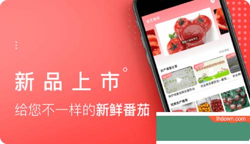 番茄生活社区app直播最新版